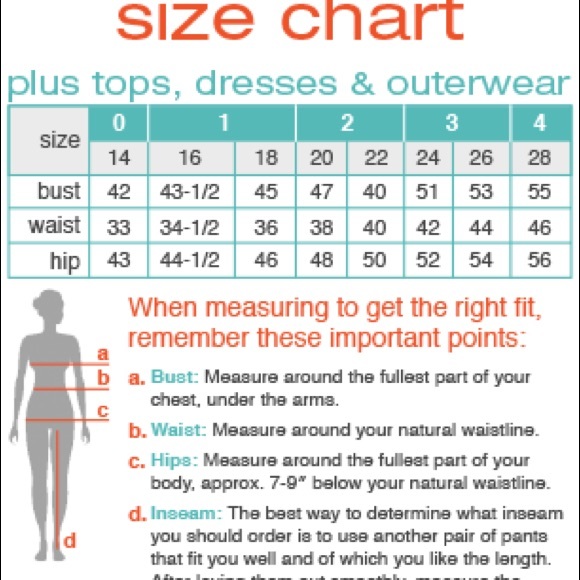 Plus charts. Торговый терминал metatrader 5. Размер груди d. Размер груди ddd. Plus charts.